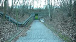 P1160761s_thumbnail.JPG